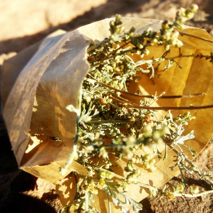 Malakorum Al Quwayrah 外观 照片